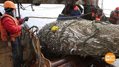 Клевое место: рыбалка на Северной Двине. Доброе утро. Фрагмент