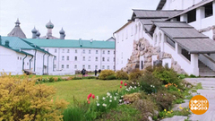 Приехать на Соловки и влюбиться в них навсегда! Доброе утро. Фрагмент