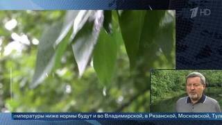 «Встретят неласково» — метеоролог Варакин о погоде на следующей неделе