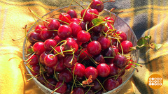 Вишневое лето. Доброе утро. Фрагмент