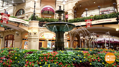 Лето. ГУМ цветет! Доброе утро. Фрагмент