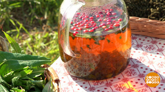 Лето... Жара... Давай заварим чай! Доброе утро. Фрагмент