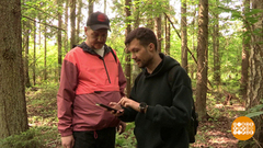 Как не заблудиться в лесу. Доброе утро. Суббота. Фрагмент 