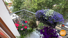 А у нас на балконе — сад... Доброе утро. Суббота. Фрагмент 