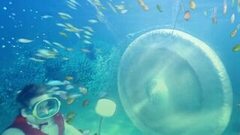 Что? Где? Когда? Игра продолжается. Анонс