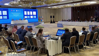 В Баку состоялись переговоры глав МЧС России и Азербайджана