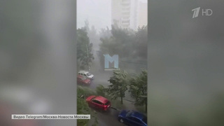 Сильнейший ураган с грозами обрушился на Ярославль, непогода и в Подмосковье