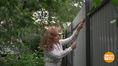 Забор раздора: а может, договоримся по-соседски? Доброе утро. Фрагмент