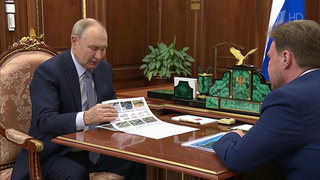 Владимир Путин обсудил с Виктором Хмариным стратегически важные проекты в энергетике