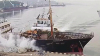 В приморском порту буксир на полном ходу протаранил пришвартованное судно