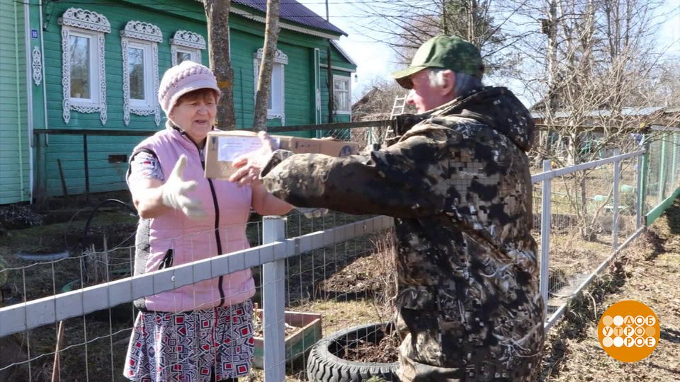 Почта придет! Всюду! Доброе утро. Фрагмент выпуска от 14.07.2025