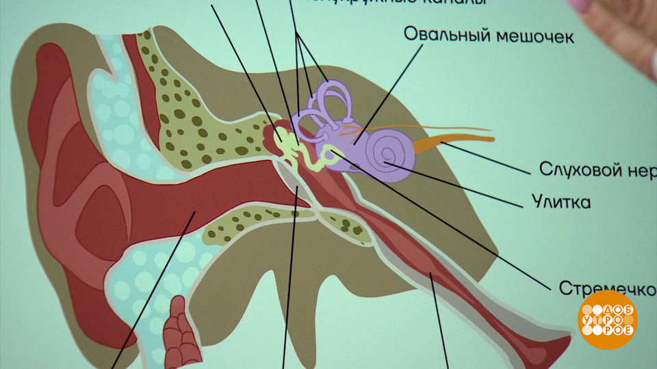 Почему в самолете закладывает уши? Доброе утро. Фрагмент выпуска от 15.07.2025