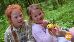 Мы с детьми — на пикник! Мошки, а вас не звали… Доброе утро. Фрагмент