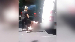 В Одесской области чуть не убили женщину, которая пыталась заступиться за призывника