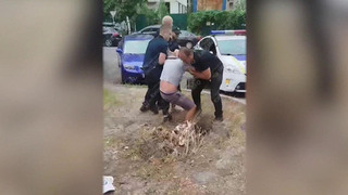 В сети появились новые кадры насильственной мобилизации на Украине