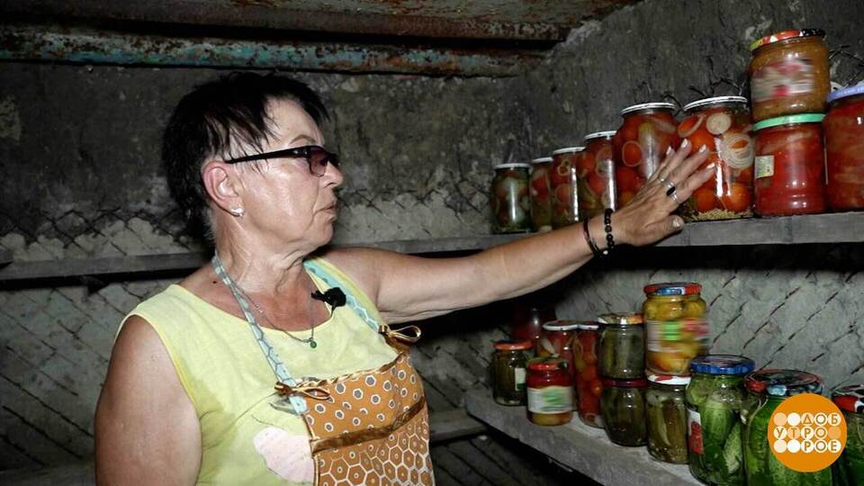 Для чего человеку дача? Для фитнеса, творчества… и для огурцов, конечно! Доброе утро. Фрагмент выпуска от 23.07.2025