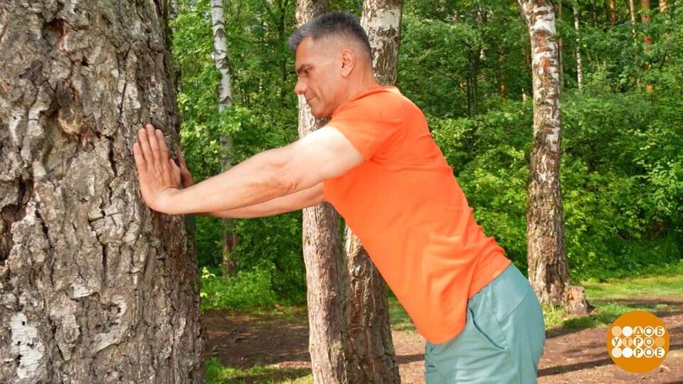 Здравствуй, дерево! Зарядку делать будем? Доброе утро. Фрагмент выпуска от 24.07.2025