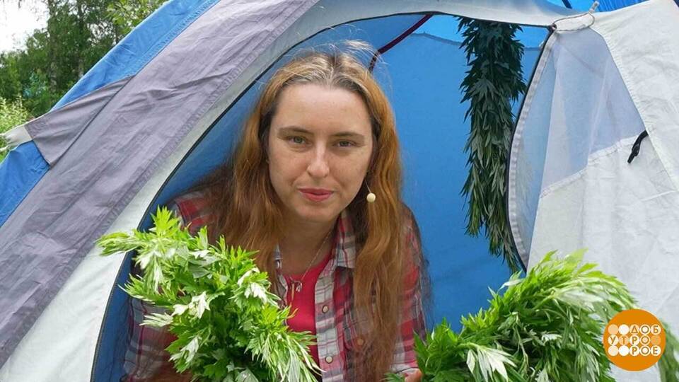 Комары, мы вас не боимся! Доброе утро. Фрагмент выпуска от 25.07.2025