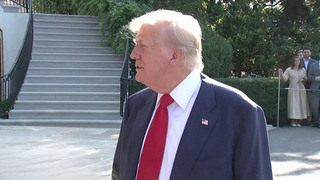 Дональд Трамп раскритиковал президента Франции