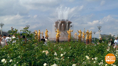 Фонтан – не бассейн! Доброе утро. Фрагмент 