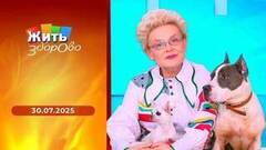 Братья наши меньшие — кошки; черный тмин; меланома; солнце и мозг. Жить здорово! 