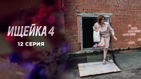 Ищейка 4. 12 серия