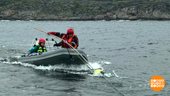 Как спасали кита Станислава. Доброе утро. Фрагмент 