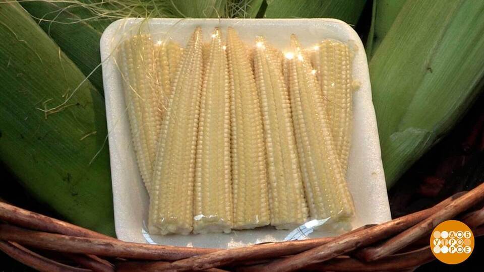 Кукуруза: налетаем, пока сезон! Доброе утро. Фрагмент выпуска от 31.07.2025