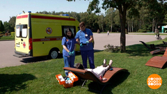 Лето. Жара. Берегите себя! Доброе утро. Фрагмент