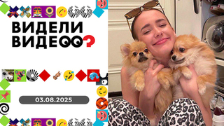 Обладатель неповторимой улыбки, крыса со стажем, бабушка-одуванчик, пробник волка, спасение кота. Видели видео? Выпуск от 23.03.2025