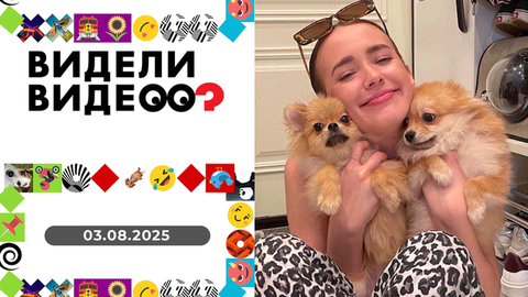 Обладатель неповторимой улыбки, крыса со стажем, бабушка-одуванчик, пробник волка, спасение кота. Видели видео? Выпуск от 23.03.2025