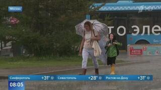 За сутки в Московском регионе выпало до 130% месячной нормы осадков