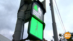 Светофор, какой ты умный! Доброе утро. Фрагмент 