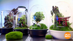 Мое дело — создавать микромиры. Доброе утро. Фрагмент