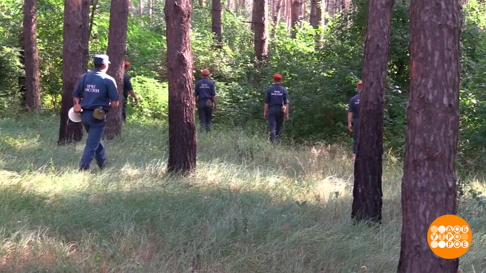 Тихая охота: как не заблудиться. Доброе утро. Фрагмент выпуска от 07.08.2025