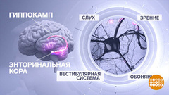 У каждого — свой компас! В голове... Доброе утро. Суббота. Фрагмент 