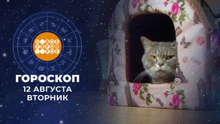 Гороскоп на 12 августа. Доброе утро. Фрагмент 