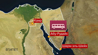 Автобус с российскими туристами попал в аварию в Египте