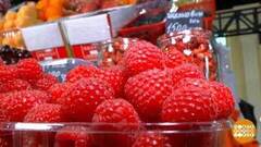 Малиновое варенье: это просто праздник! Доброе утро. Суббота. Фрагмент