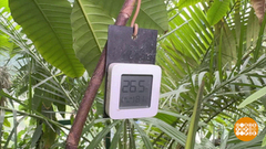 Влажность: чем выше, тем лучше? Доброе утро. Фрагмент