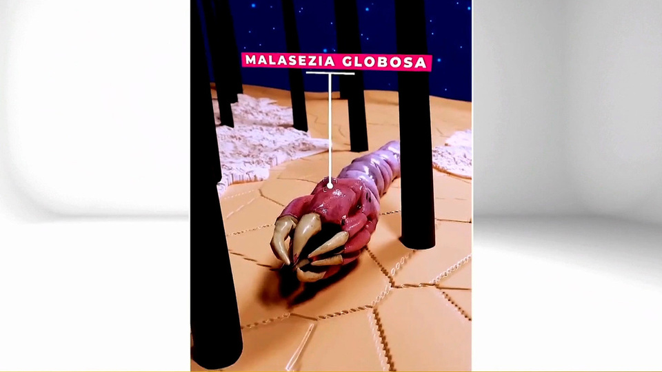 Секреты Здоровых Волос: 4 Проверенных Совета от Иммунолога