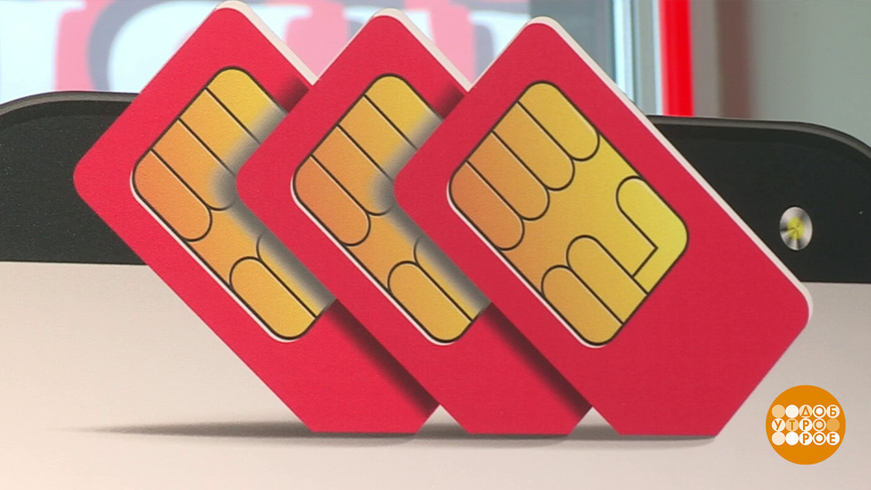 Сим-карта, ты откуда? Доброе утро. Фрагмент выпуска от 19.08.2025