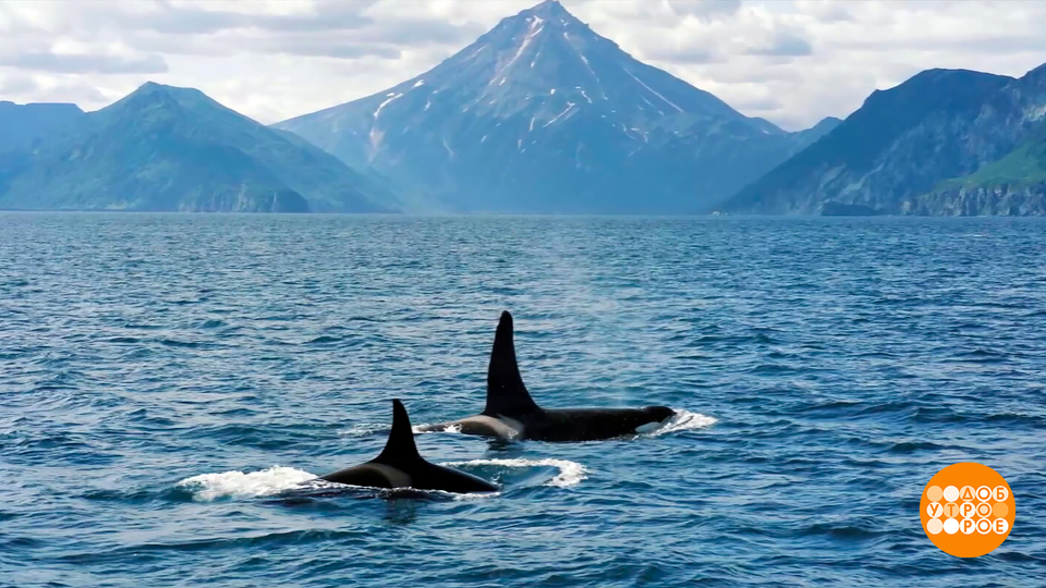 Горячий спрос на холодный туризм. Доброе утро. Фрагмент выпуска от 20.08.2025