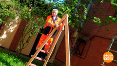 Лестница-чудесница от Алексея Бояджи. Доброе утро. Фрагмент 