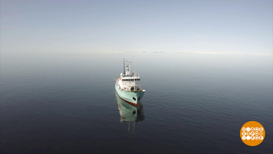 Лето — оно и в Арктике лето! Доброе утро. Фрагмент выпуска от 22.08.2025