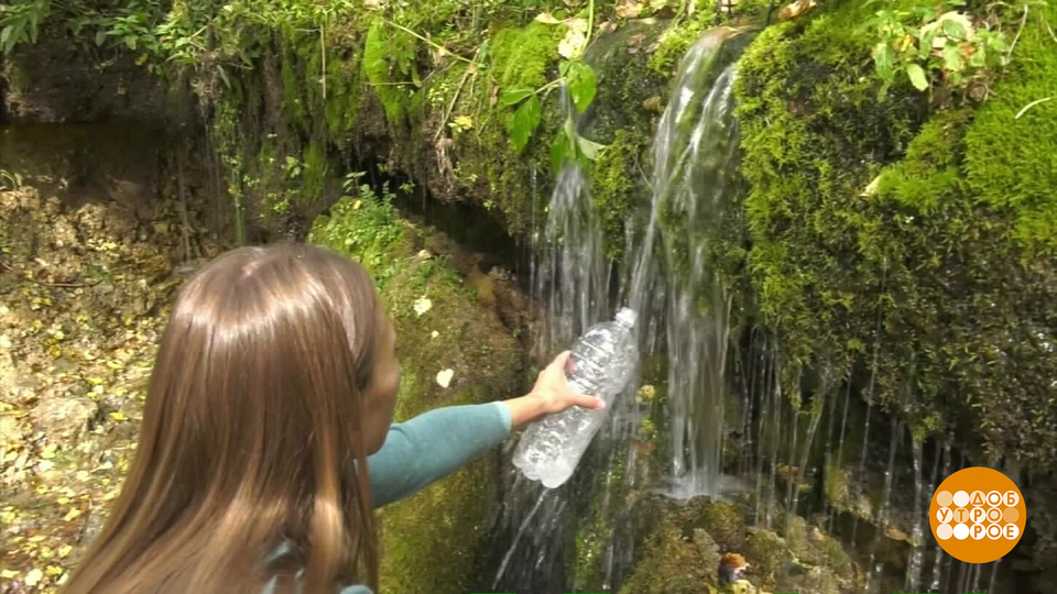 Родниковая вода: а кипятить надо? Доброе утро. Фрагмент выпуска от 22.08.2025