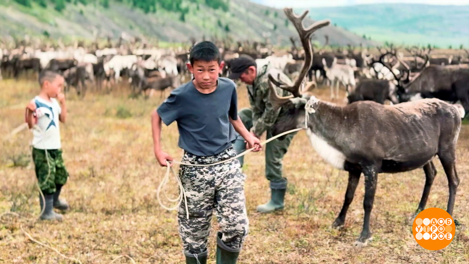 До свидания, стойбище. Здравствуй, школа! Доброе утро. Фрагмент выпуска от 23.08.2025