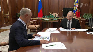 Владимир Путин обсудил с губернатором Владимиром Сальдо развитие Херсонской области
