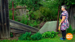 Заброшенный участок: теперь заберут? Доброе утро. Фрагмент 