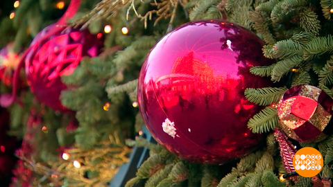 Туры на Новый год: чем раньше, тем выгоднее! Доброе утро. Фрагмент 